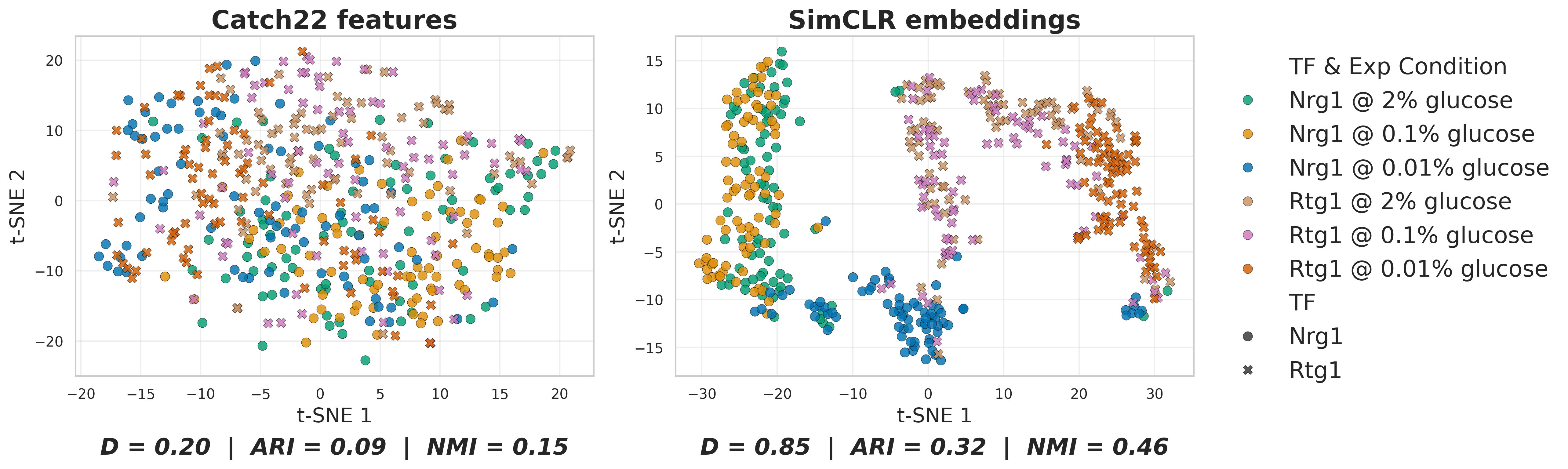 t-SNE embedding comparing catch22 features with SimCLR features